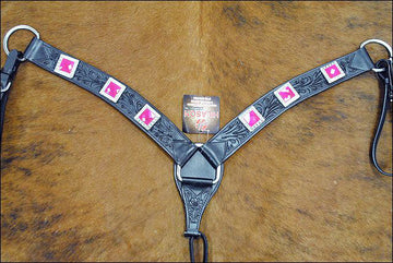 Hilason Western Headstall & Breast Collar Horse American Leather Black Pink